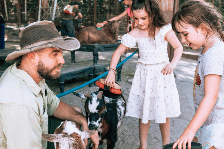 Affordable children’s party entertainers available for hire