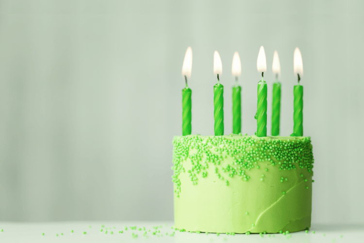 a green cake for a minecraft party